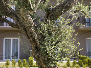 wellness gardasee