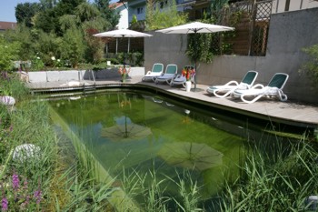Zen-Garten / Naturschwimmpool
