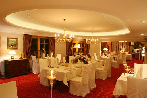 Kaminzimmer & Salon
