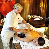 Wellness