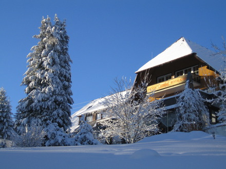Winter im Tannhof