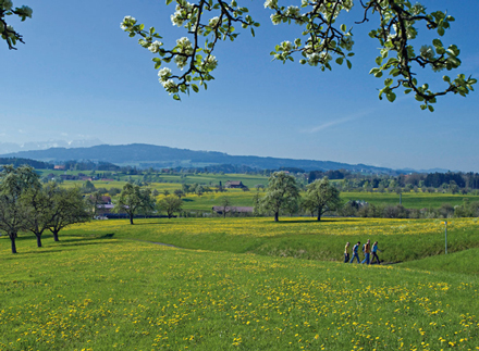 Panorama Thurgau