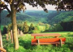 aus der Region