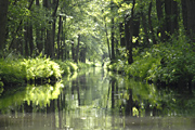 Sommerzeit im Spreewald - Veranstaltungstipps fr Mai bis September