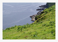 Wellness L�becker Bucht