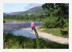 Wellness Mosel