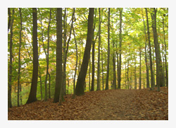 Wellness L�neburger Heide