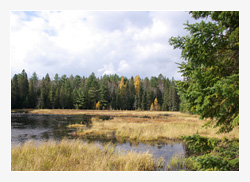 Wellness Mecklenburgische Seenplatte