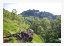 Wellness Bayerischer Wald