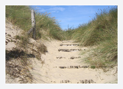 Wellness Sylt